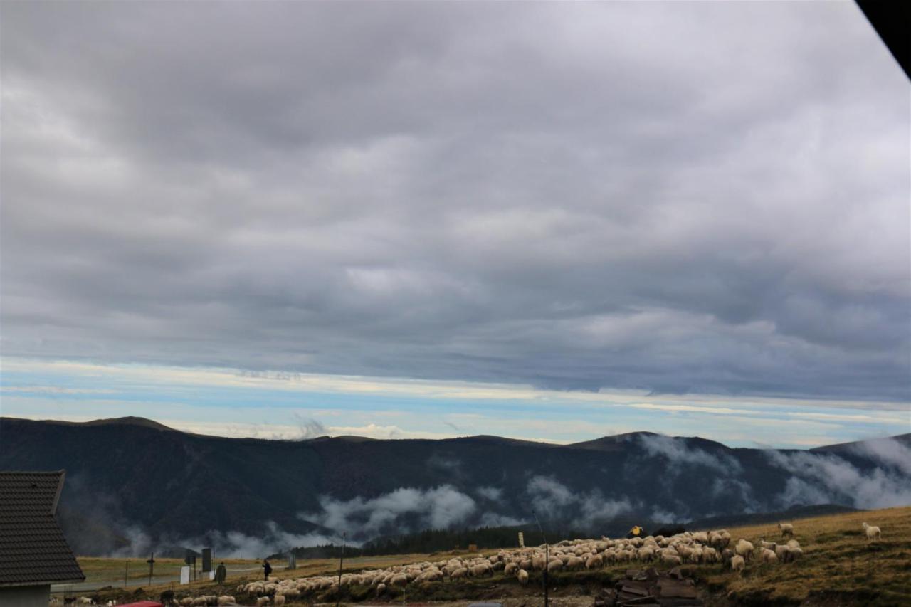 Cabana Transalpina Ранка Екстериор снимка