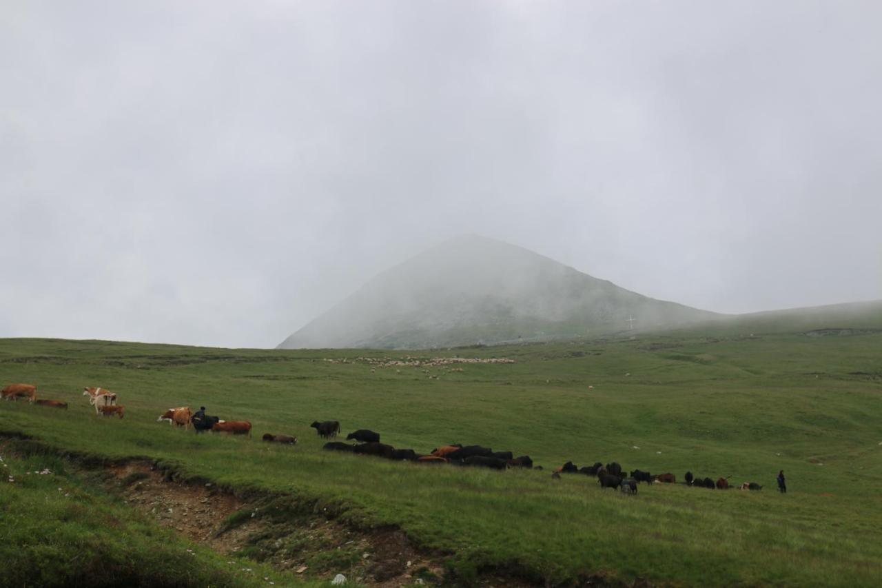 Cabana Transalpina Ранка Екстериор снимка